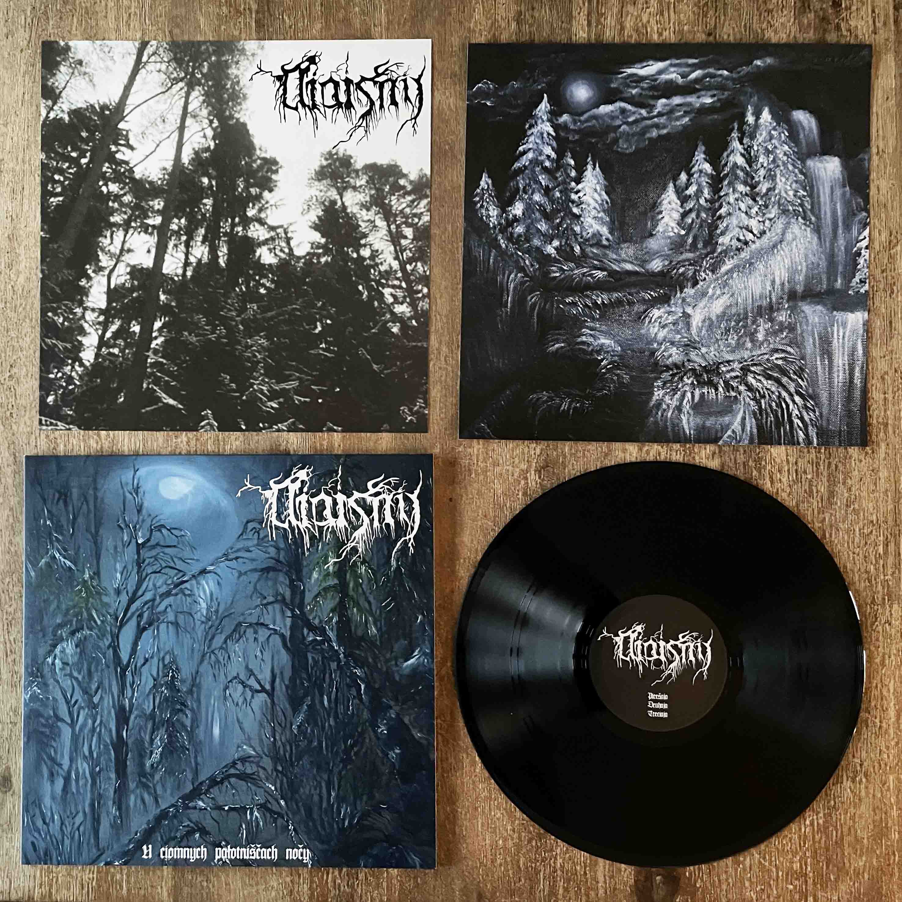 Niaisny – U Ciomnych Pałotniščach Nočy LP